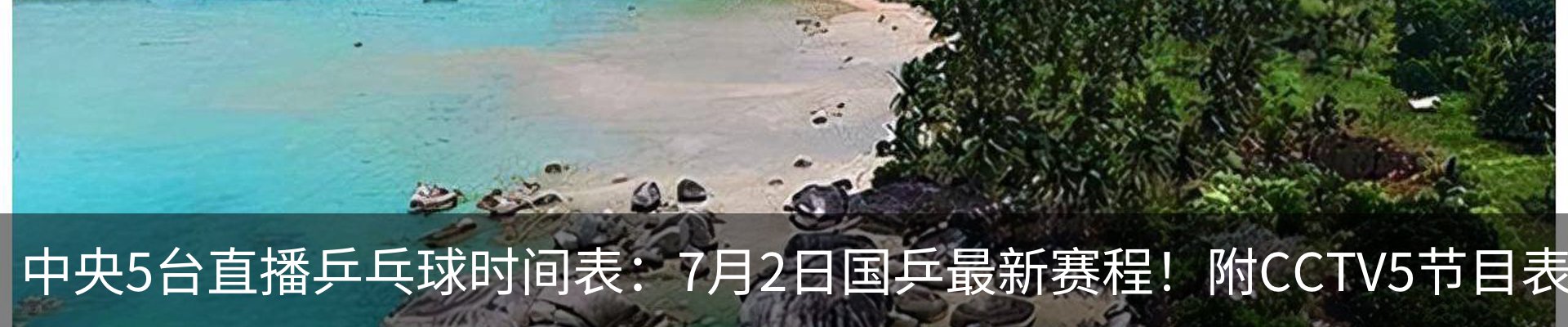 资讯动态